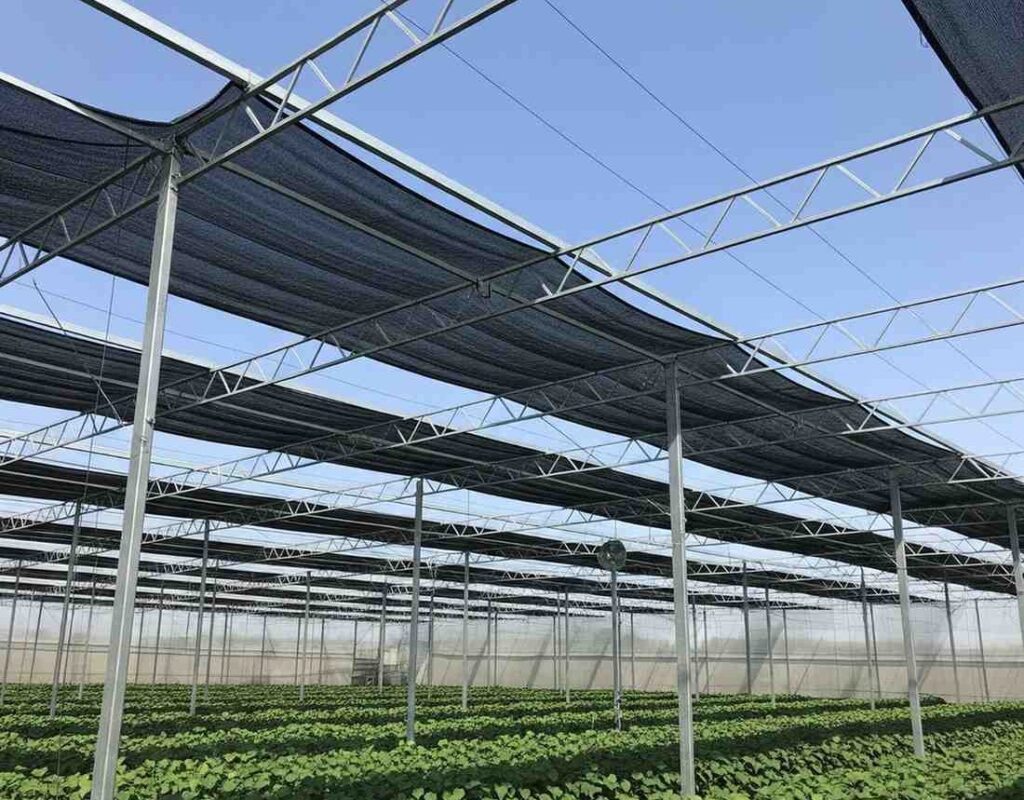 Why Shade Nets Transform UAE Greenhouses