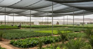 Agricultural Shade Nets UAE