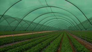 Shade Nets for Greenhouses & Gardens in Dubai