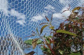 bird net installation